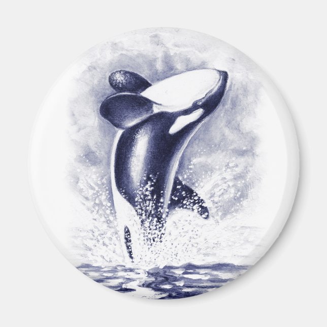 Orca Breaching Magnet (Front)