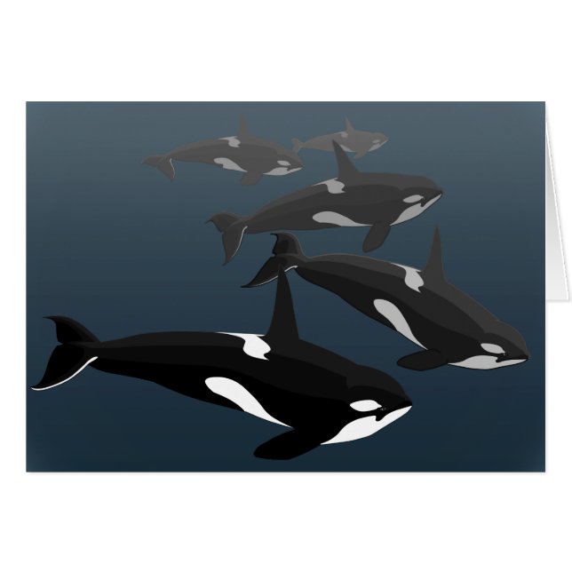 Orca Cards Personalise Killer Whale Art Cards (Front Horizontal)