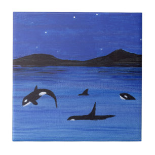 Orca Ceramic Tile