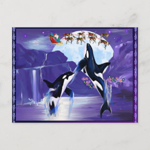 Orca Christmas Holiday Postcard