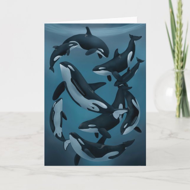 Orca Greeting Card (Front)