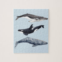 Orca, hunchbacked whale and gray whale