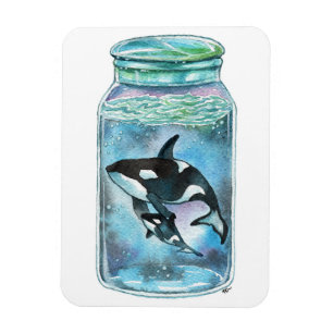 Orca in the Jar Magnet
