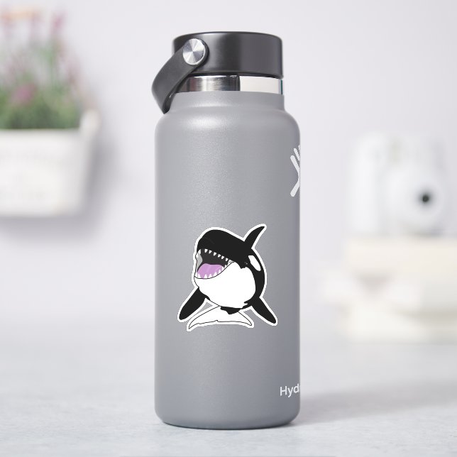Orca Killer Whale (HydroFlask)