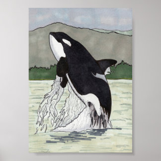 Orca / Killer Whale 5x7 Poster