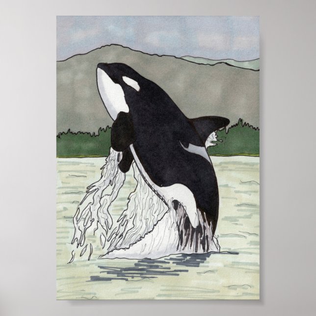 Orca / Killer Whale 5x7 Poster (Front)