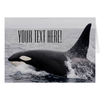 Orca Killer Whale Breaching Surface Custom Text