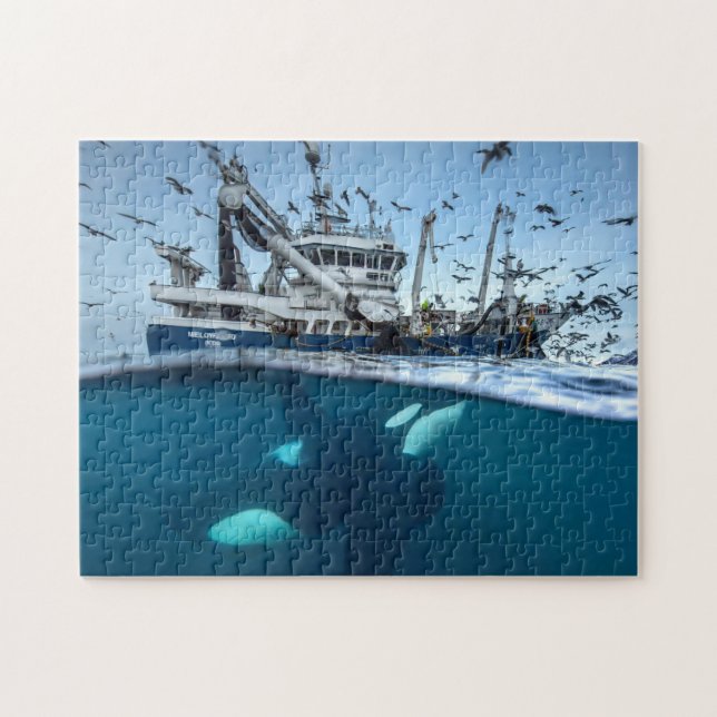 Orca Killer Whale Commercial Fishing Boat Ocean Jigsaw Puzzle (Horizontal)