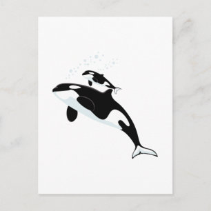 Orca Killer Whale Postcard