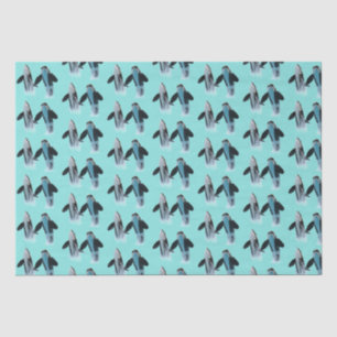 Orca / Killer Whale Tissue Paper 