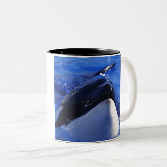 orca.Killer Whale Two-Tone Coffee Mug (Front Right)