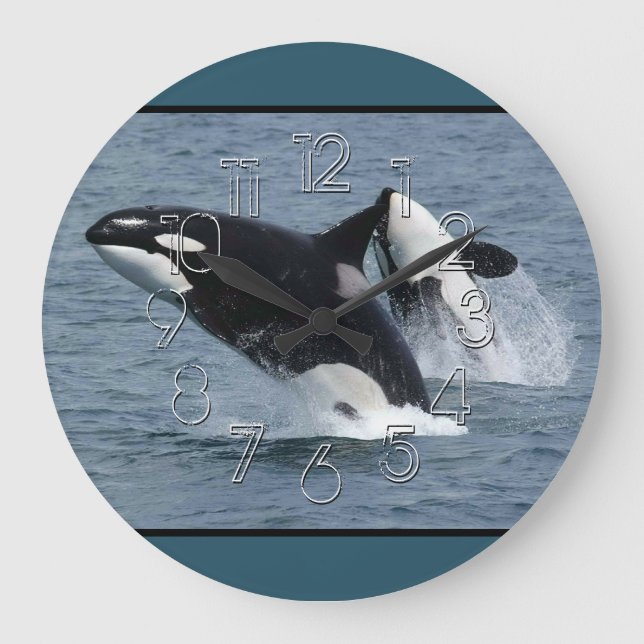 Orca Killer Whales Breaching Large Clock (Front)