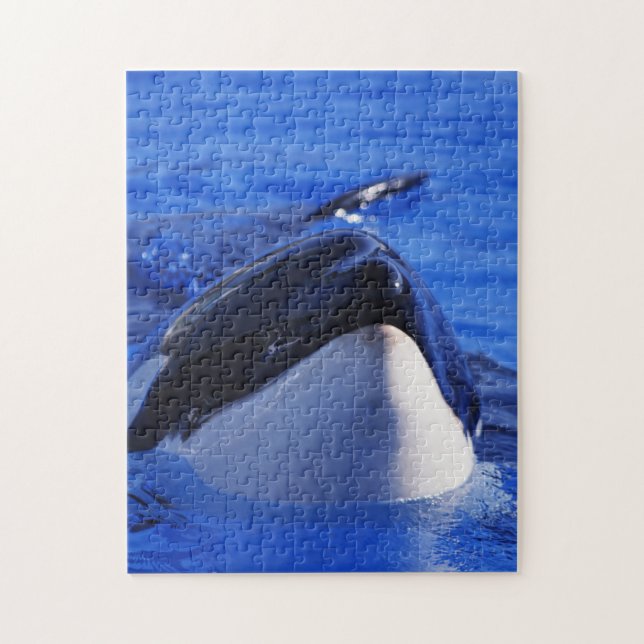 Orca Killr Whale Jigsaw Puzzle (Vertical)