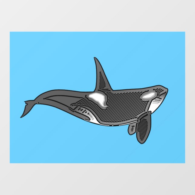 Orca Line Art Design  (Sheet)