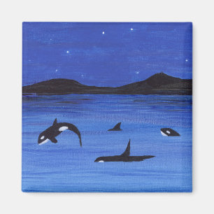 Orca Magnet
