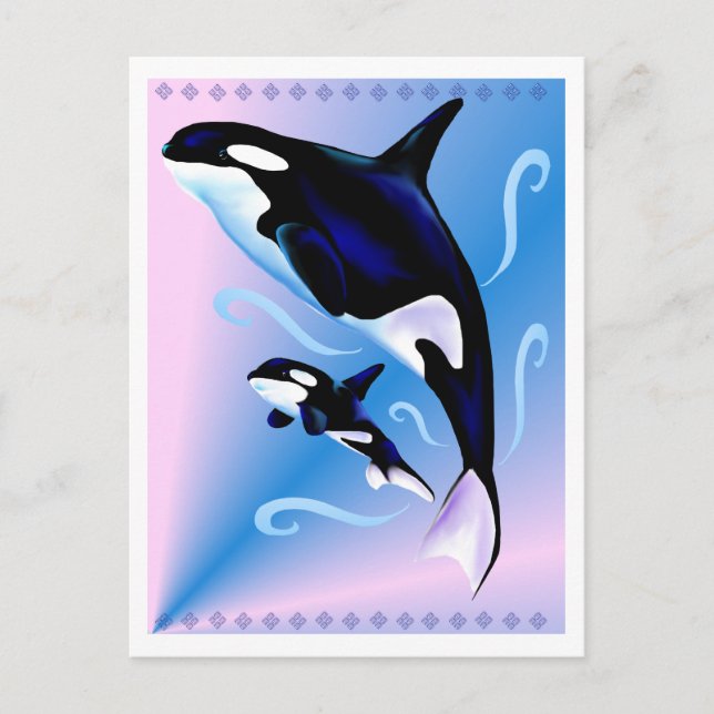 Orca Mum and Baby Postcard (Front)