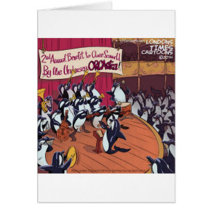 Orca Orchestra Funny