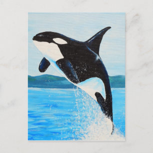 Orca Painting Postcard