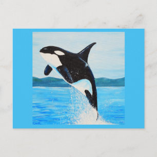 Orca Painting Postcard