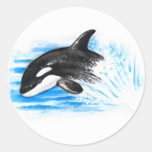 Orca Playing Classic Round Sticker