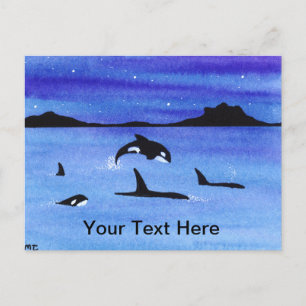 Orca Postcard