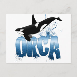Orca Postcard