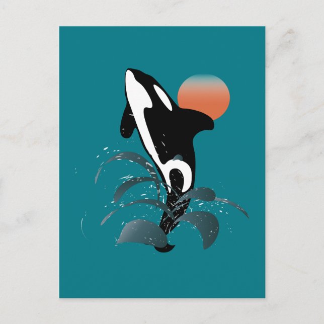Orca Postcard (Front)