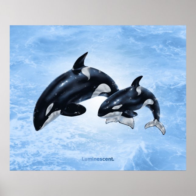 Orca - Poster (Front)