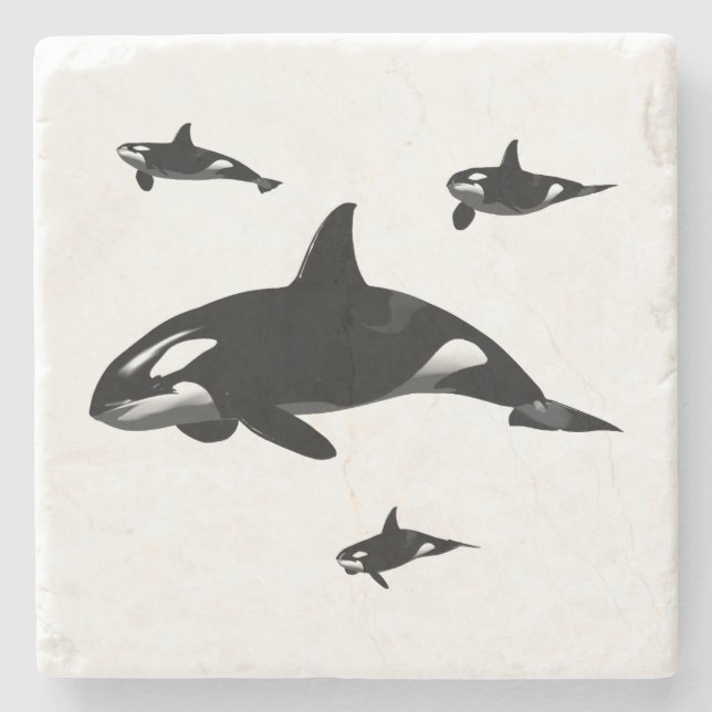 Orca Stone Coaster (Front)