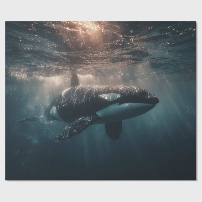 Orca Swimming in Deep Water Wrapping Paper (Flat)
