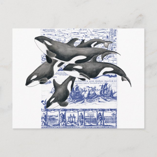 Orca Vintage Map II Postcard (Front)