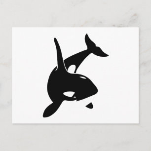 orca wal dolphin delphin schwertwal whale postcard