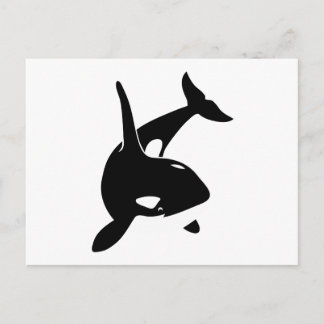 orca wal dolphin delphin schwertwal whale postcard