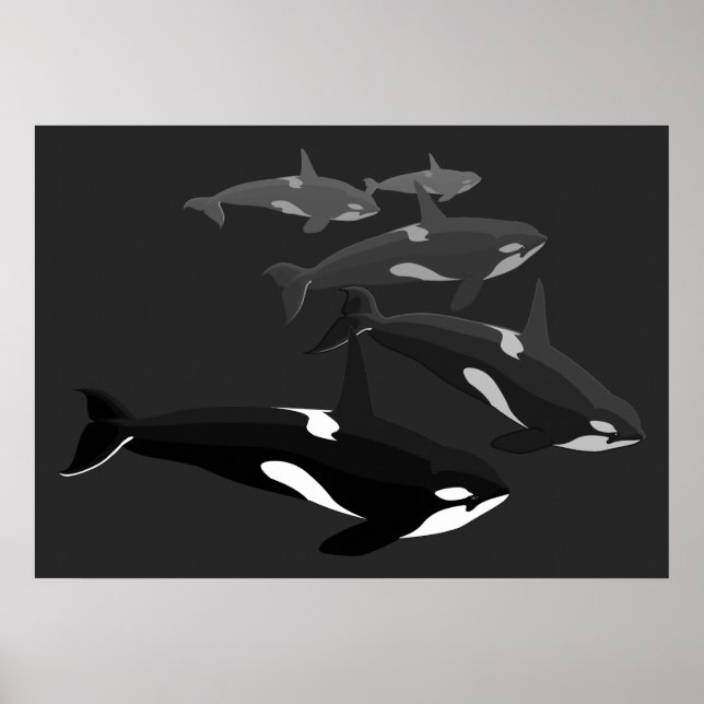 Orca Whale Art Poster Killer Whale Printed Canvas (Front)