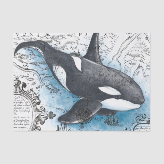 Orca Whale Blue Watercolor Nautical Map Tissue Paper (Front)
