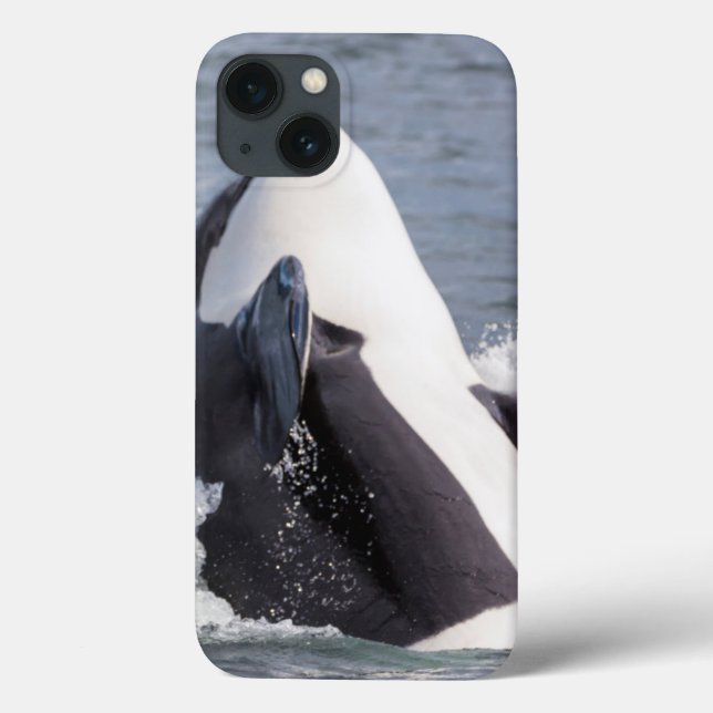 Orca whale breaching Case-Mate iPhone case (Back)