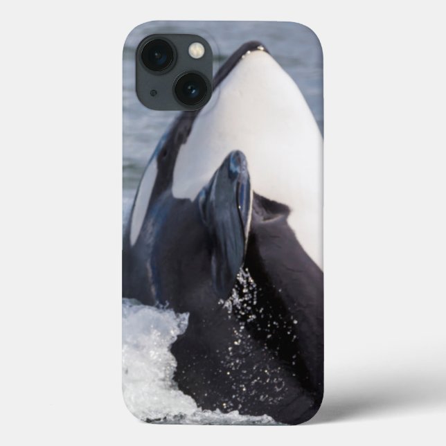 Orca whale breaching Case-Mate iPhone case (Back)