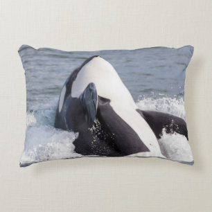 Orca whale breaching decorative cushion