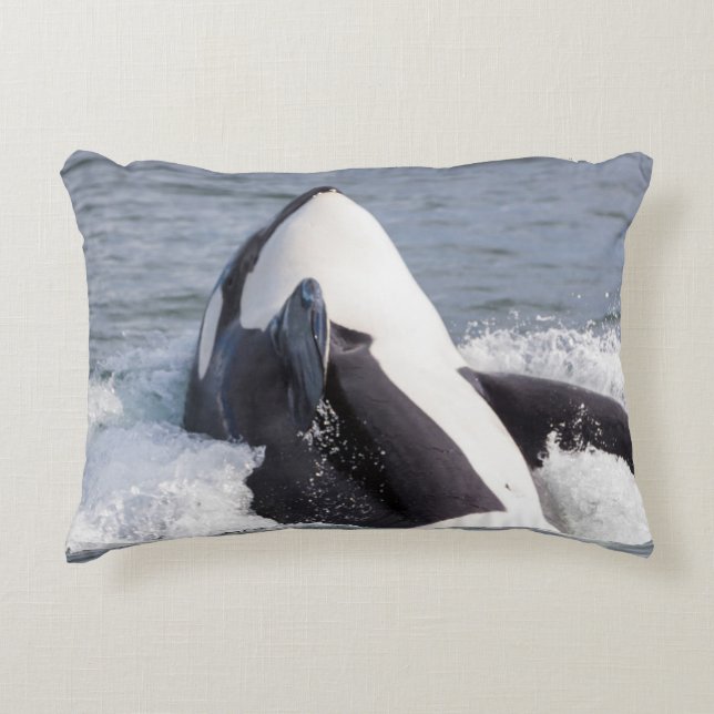 Orca whale breaching decorative cushion (Front)
