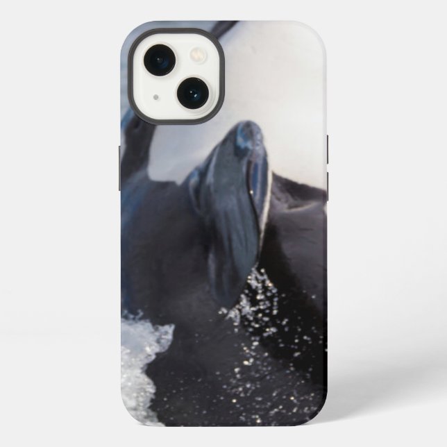 Orca whale breaching iPhone case (Back)