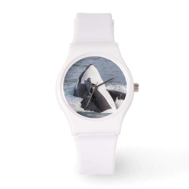 Orca whale breaching watch (Front)