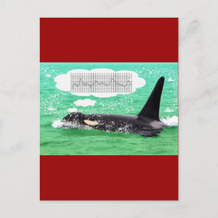 Orca Whale Christmas Green Sea Merry Christmas Holiday Postcard