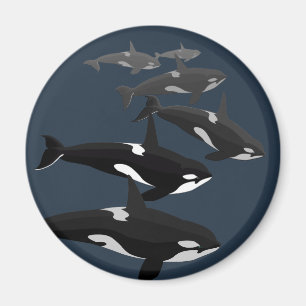 Orca Whale Fridge Magnet Killer Whale Art Magnets