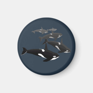 Orca Whale Fridge Magnet Killer Whale Art Magnets