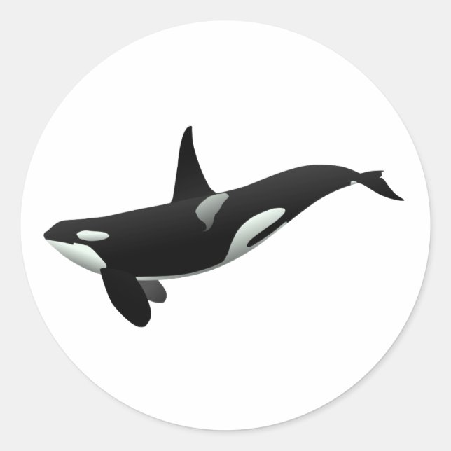 Orca whale illustration - Choose background colour Classic Round Sticker (Front)
