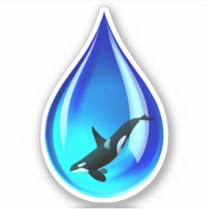 Orca Whale in Water Drop