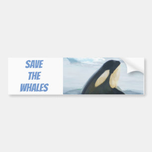 Orca Whale Spyhop blue Bumper Sticker