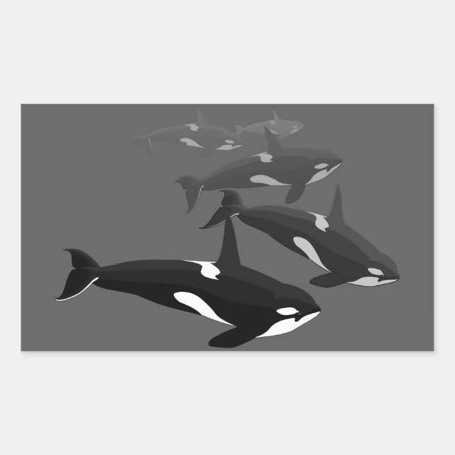 Orca Whale Stickers Killer Whale Art Stickers (Front)