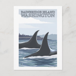 Orca Whales #1 - Bainbridge Island, Washington Postcard