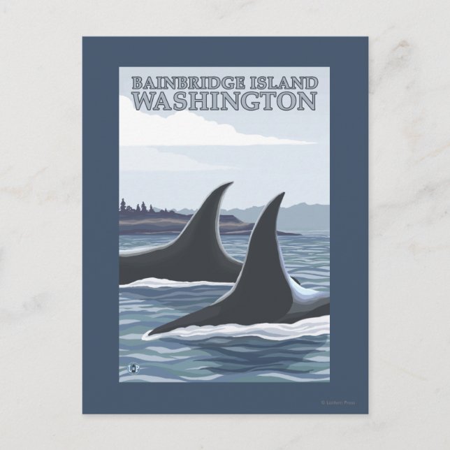 Orca Whales #1 - Bainbridge Island, Washington Postcard (Front)